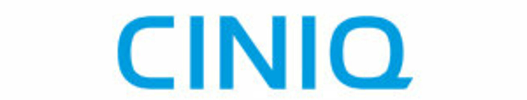 Logo des CINIQ Center for Data & Information Intelligence