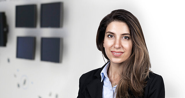 Sepideh M. Kouhini